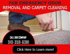 Upholstery Cleaner - Carpet Cleaning Culver City, CA