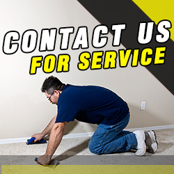 Contact Carpet Cleaning Company