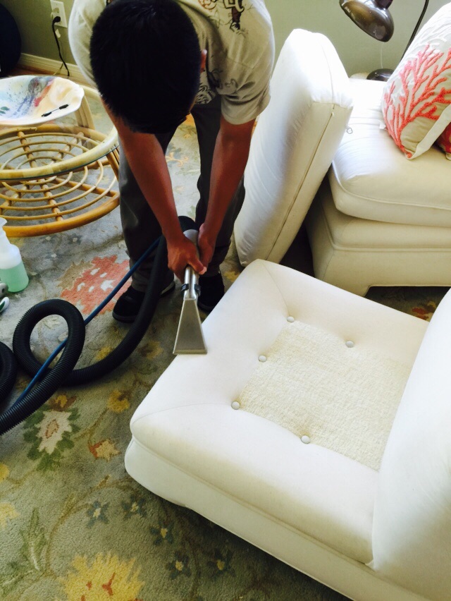 Upholstery Cleaning