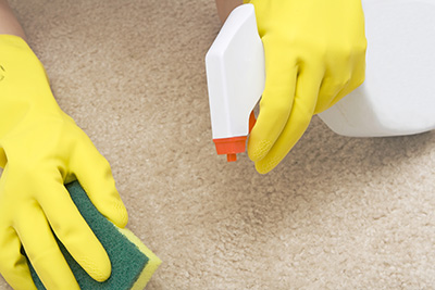 How to Save Your Rug from Stains